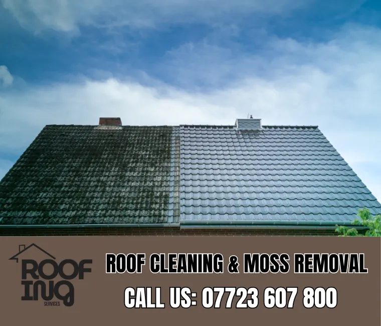 Roof cleaning and moss removal in Porthleven